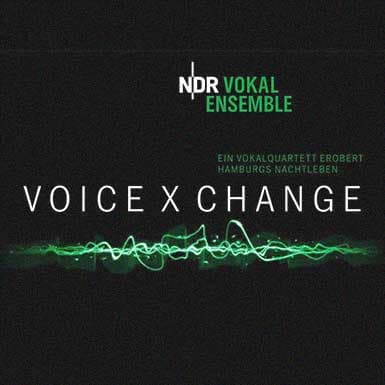 voice X change #13: Mirror Notes