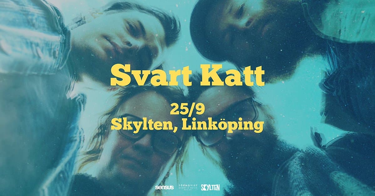 Svart Katt