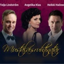 Mustalaisruhtinatar-operetti