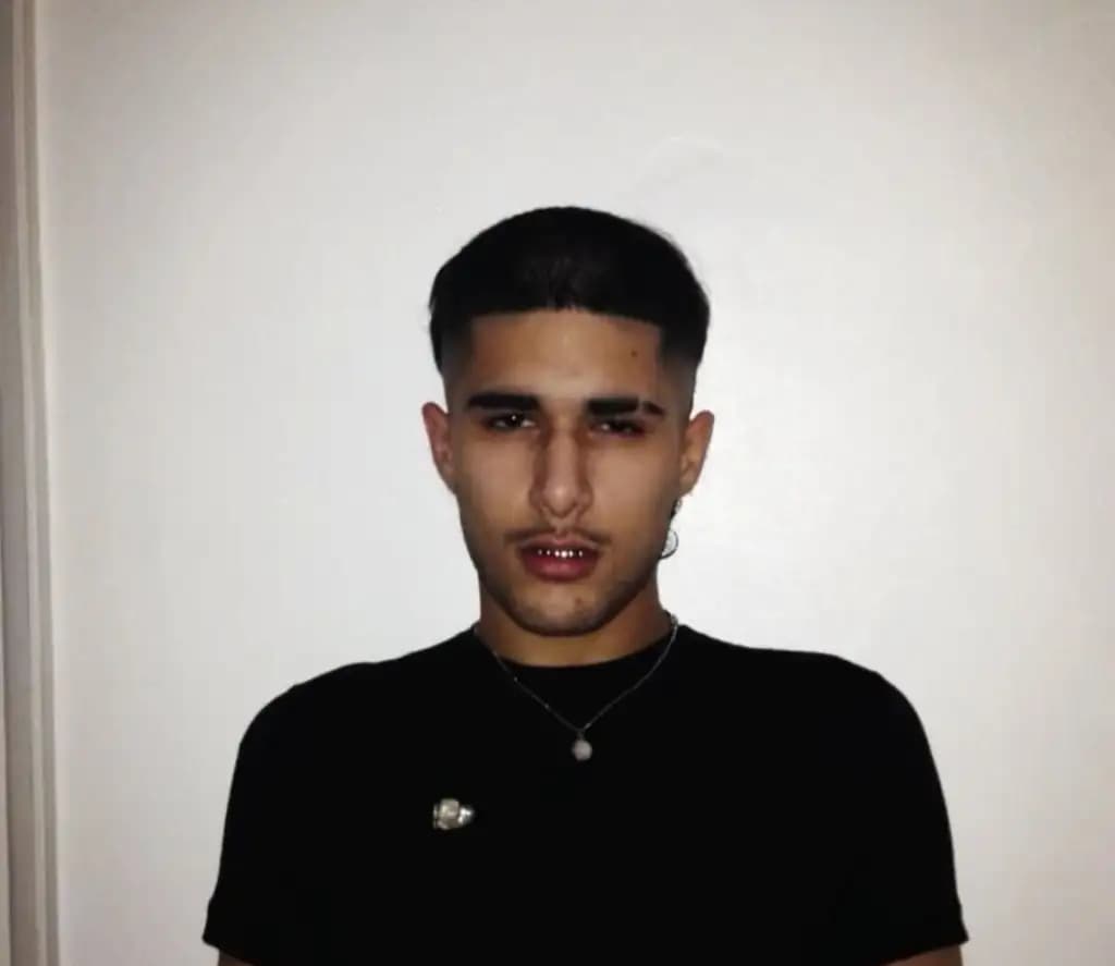 Fakemink