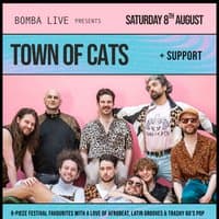 Town Of Cats