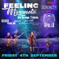 Feeling Minnnesota - 90s Grunge Tribute - Cart & Horses, London