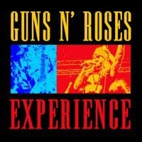 The Guns N Roses Experience