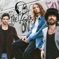 The Gulls