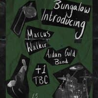 Aidan Gold Band, Marcus Walker & Cody