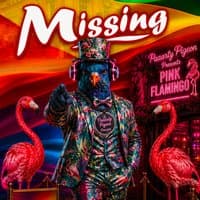 DJ Paaarty Pigeon