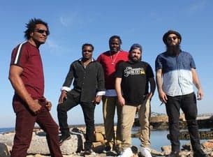 The Original Wailers featuring Al Anderson