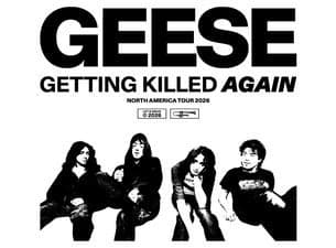 Geese