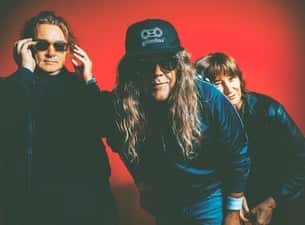 Spiderbait