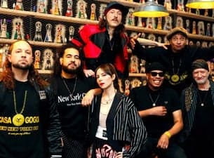 Gogol Bordello