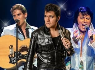 Elvis Returns