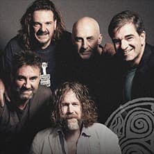 Hothouse Flowers