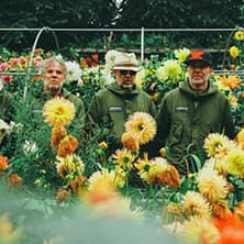 Super Furry Animals