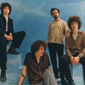 Mystery Jets