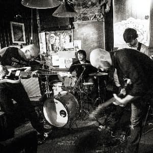 The Brackish