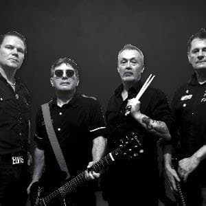 THE PARTISANS