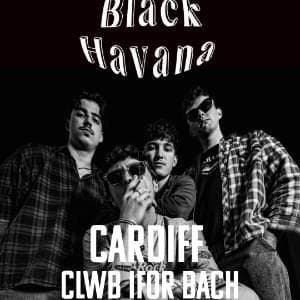 Black Havana