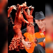 Rubin de la Ana - Flamenco Puro Arte | Die Seele von Jerez in der Moderne