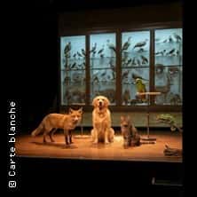 The Animal Room - Athénée - Théâtre Louis-Jouvet, Paris