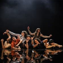 Beaver Dam Company - Edouard Hue - Dive